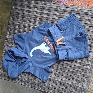 Baby Boy Short Set Dinosuar Blue 12-18 Months Toddler Casual